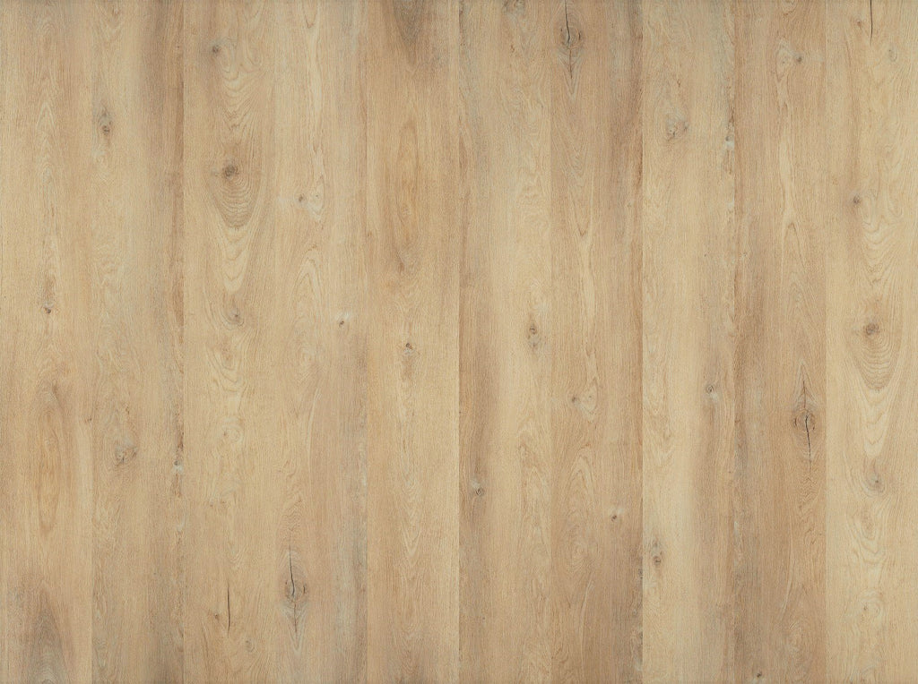 SUPERCore Basics One Sweet Talker Sample