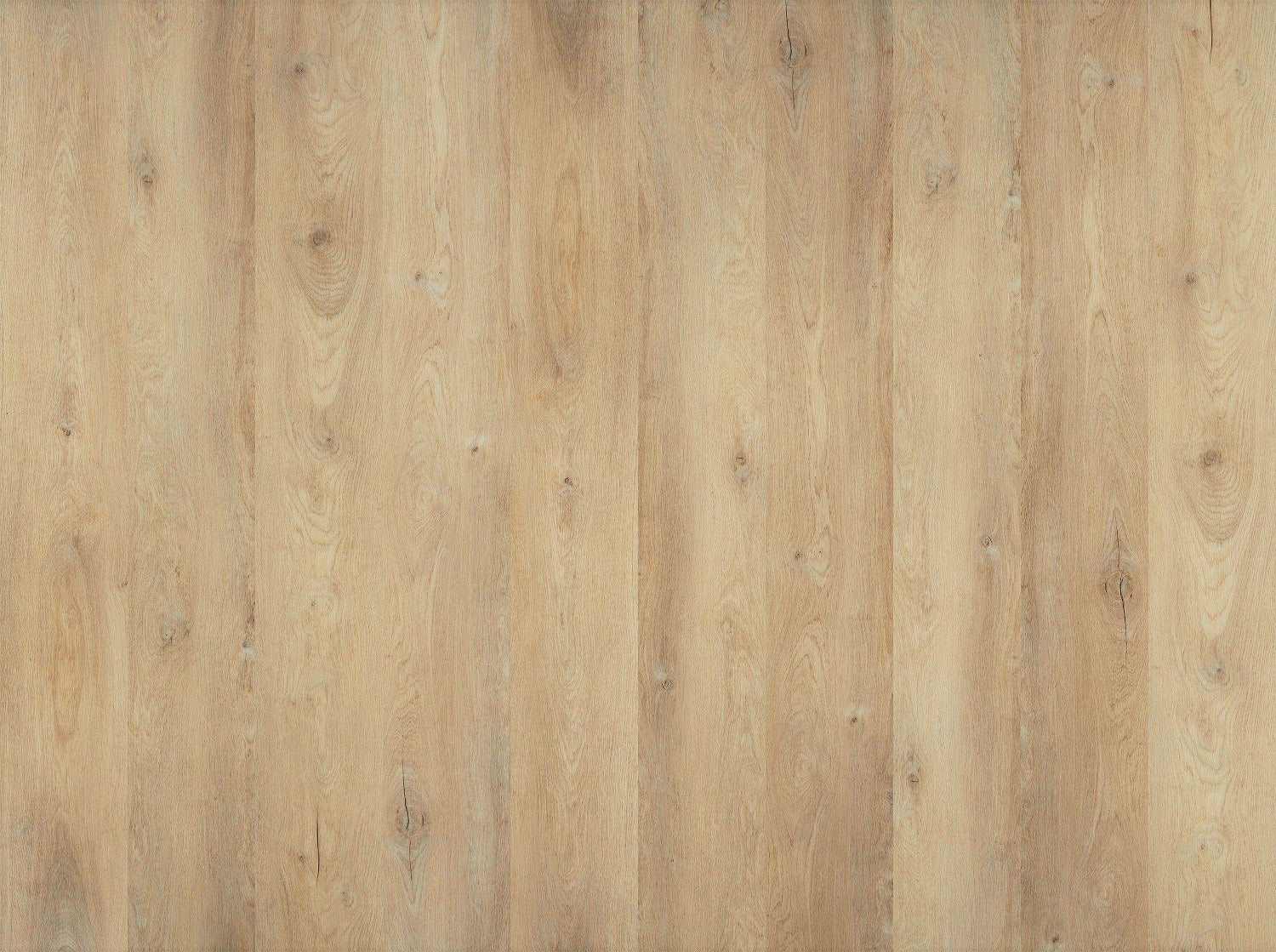 SUPERCore Basics One Sweet Talker Sample