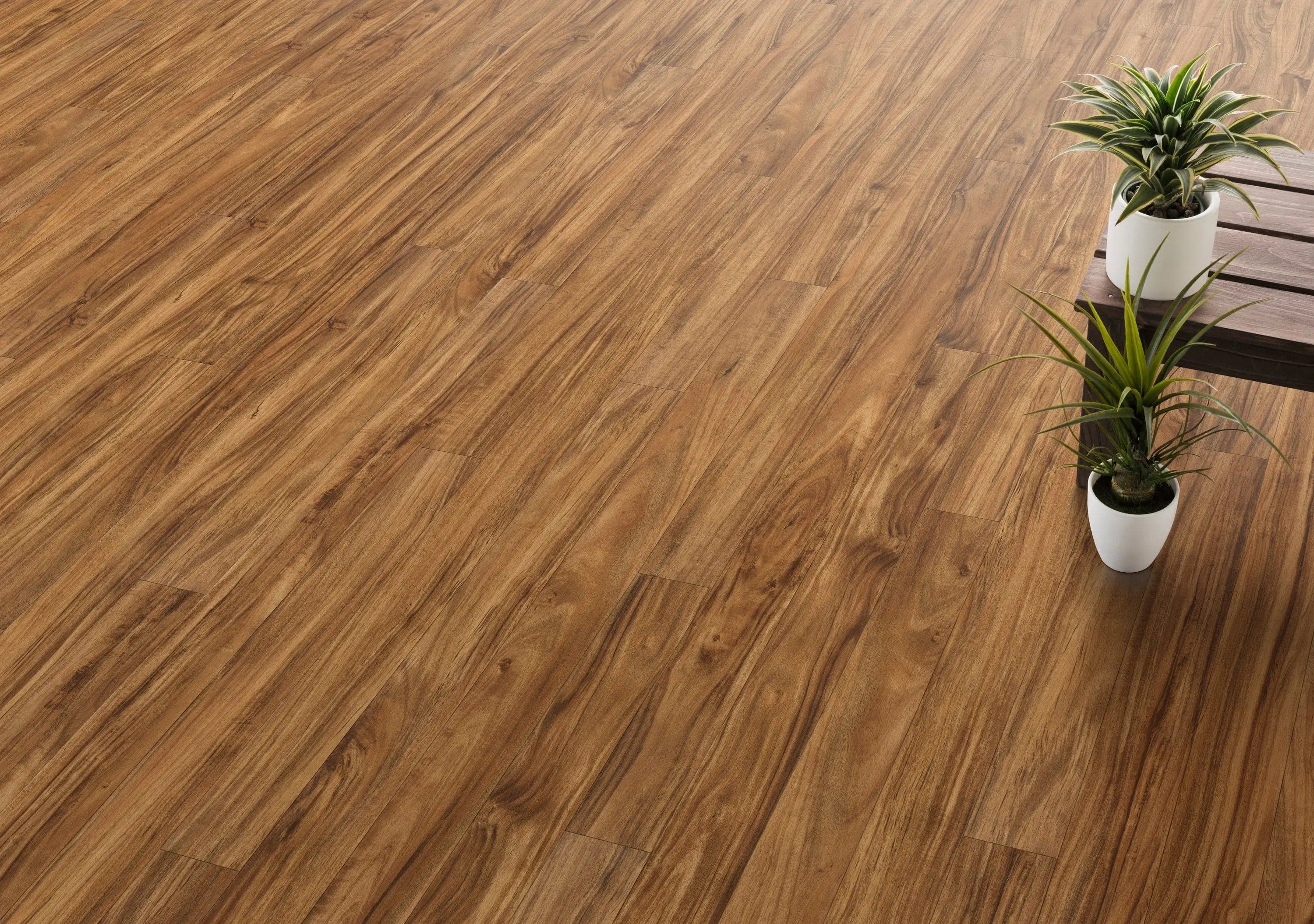 SUPERCore Traditions Wild Acacia Sample