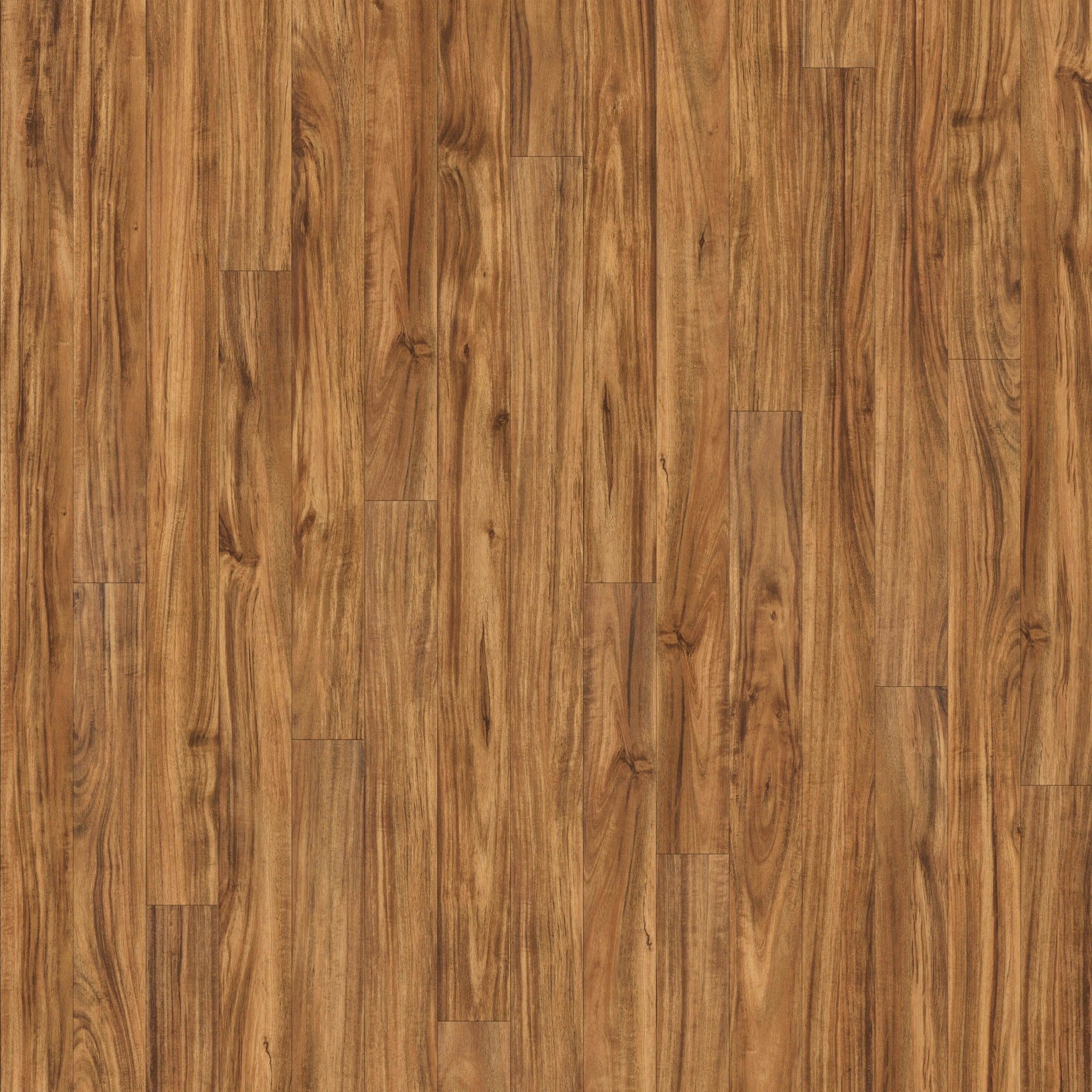 SUPERCore Traditions Wild Acacia Sample